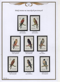 Ptaki na znaczkach - P